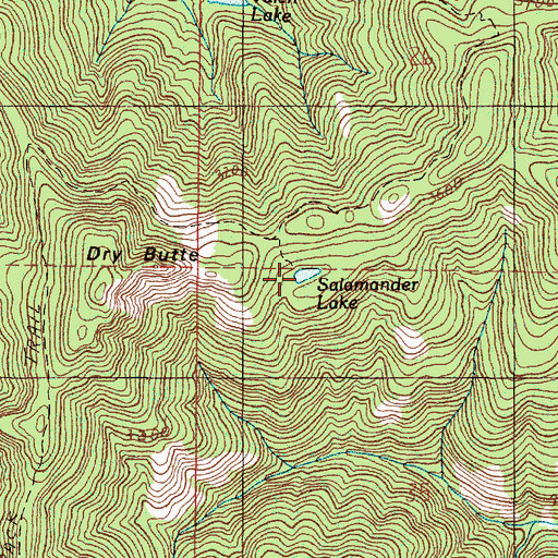 Topographic Map of Salamander Lake, OR