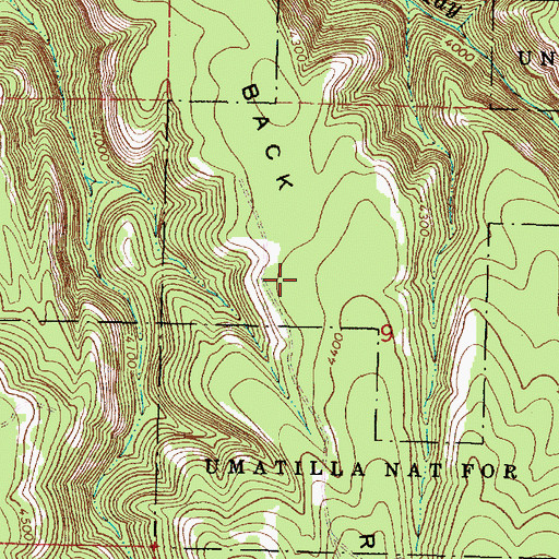 Topographic Map of Salmon Back Ridge, OR