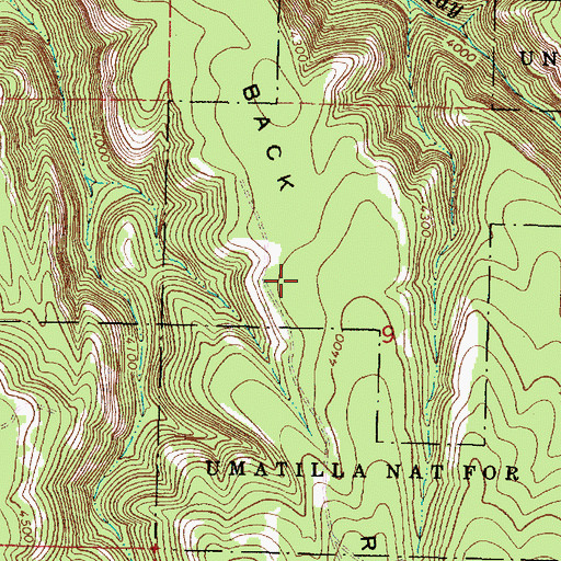 Topographic Map of Salmon Back Ridge, OR