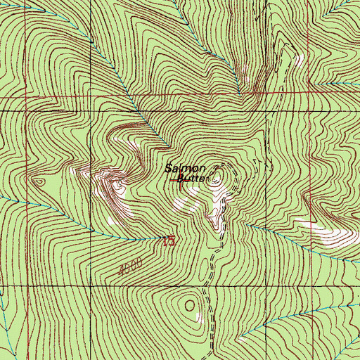 Topographic Map of Salmon Butte, OR