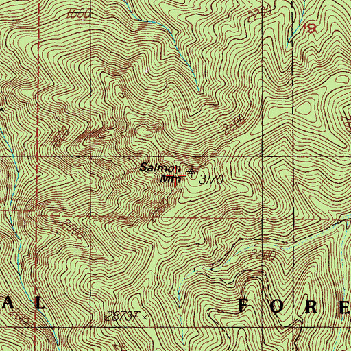 Topographic Map of Salmon Mountain, OR