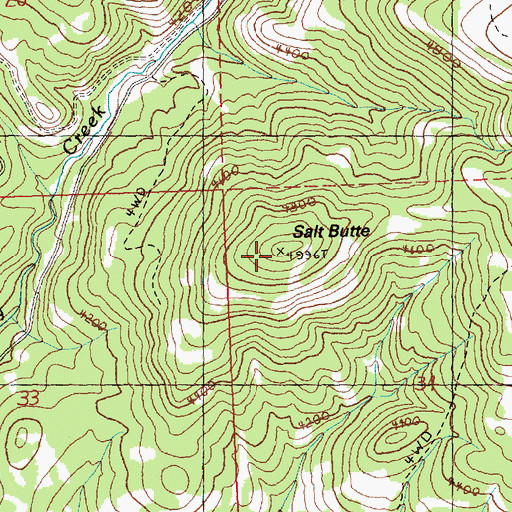 Topographic Map of Salt Butte, OR