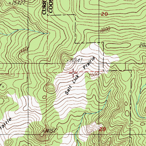 Topographic Map of Salt Lick Prairie, OR