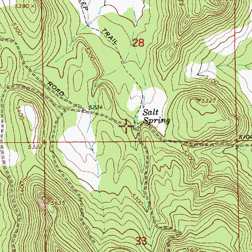Topographic Map of Salt Spring, OR