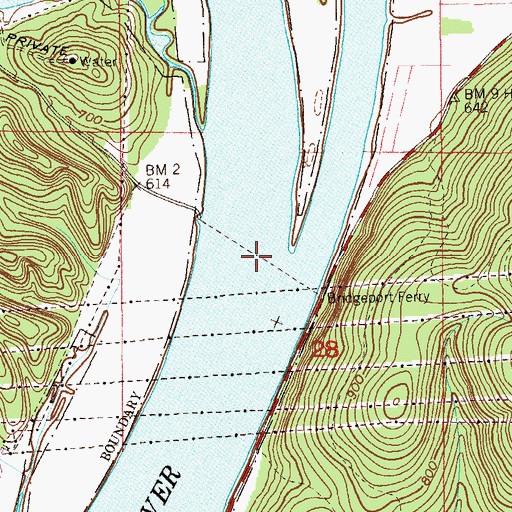 Topographic Map of Reese Ferry, AL