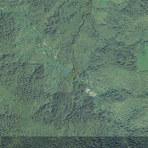 Aerial/Satellite Image of Sankey Creek, OR