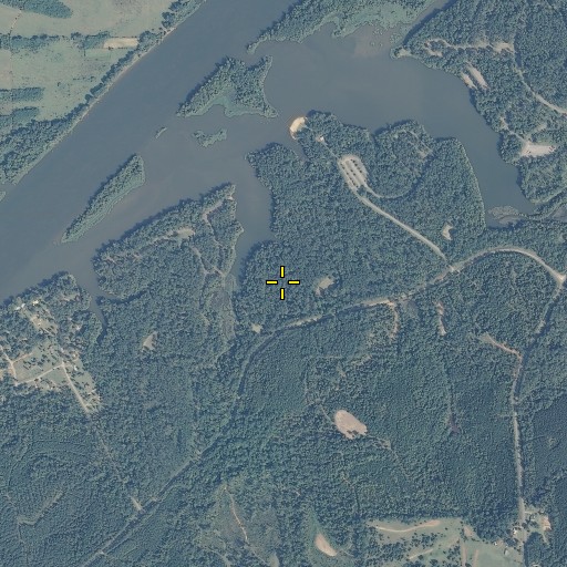 Aerial/Satellite Image of Bridgeport Public Use Area, AL