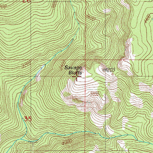 Topographic Map of Savage Bluffs, OR