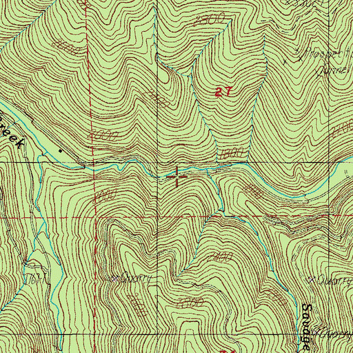 Topographic Map of Savage Creek, OR