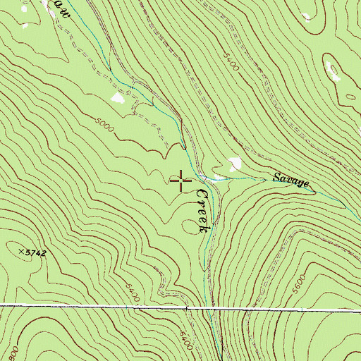 Topographic Map of Savage Creek, OR