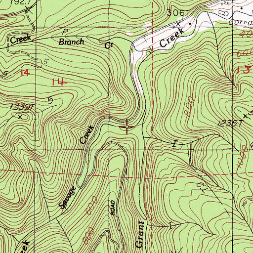 Topographic Map of Savage Creek, OR