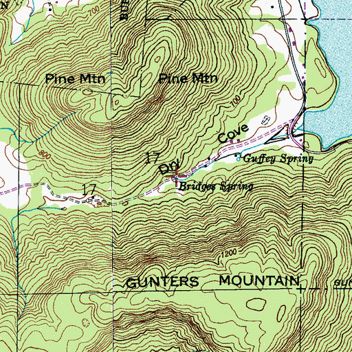 Topographic Map of Bridges Spring, AL