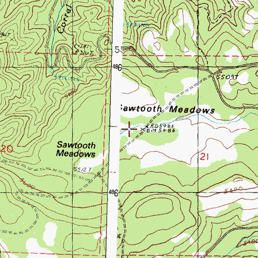 Topographic Map of Sawtooth Meadows, OR