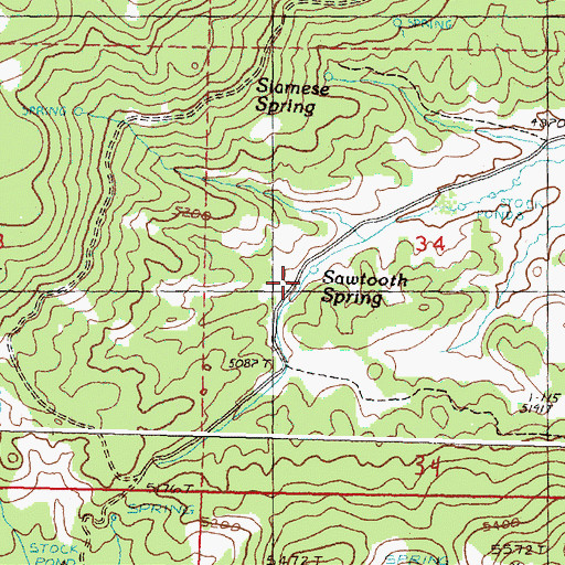 Topographic Map of Sawtooth Spring, OR