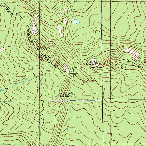 Topographic Map of Sawtooth Way, OR