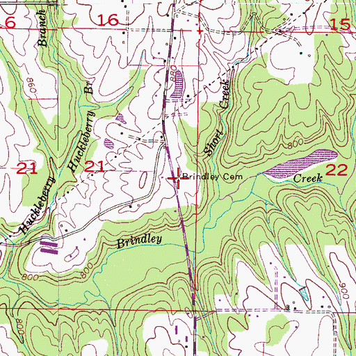 Topographic Map of Brindley Cemetery, AL