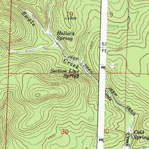Topographic Map of Section Line Spring, OR