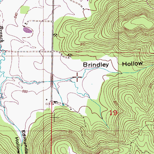 Topographic Map of Brindley Hollow, AL