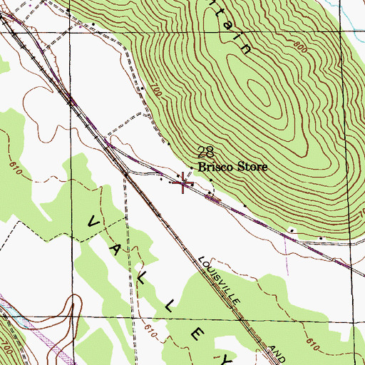 Topographic Map of Brisco Store, AL