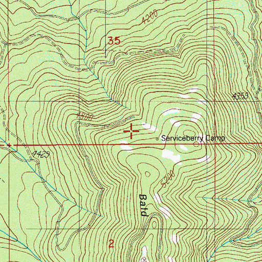 Topographic Map of Serviceberry Camp, OR