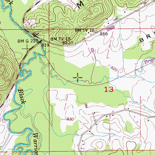 Topographic Map of Bristow Cove, AL