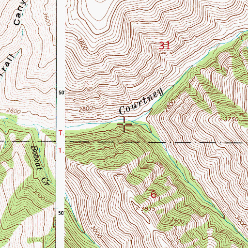 Topographic Map of Shamrock Creek, OR