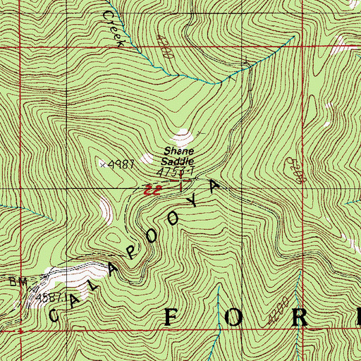 Topographic Map of Shane Saddle, OR