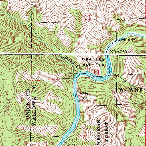 Topographic Map of Sheep Creek, OR