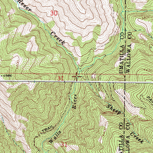 Topographic Map of Sheep Creek, OR