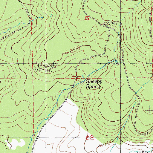 Topographic Map of Sheepy Spring, OR