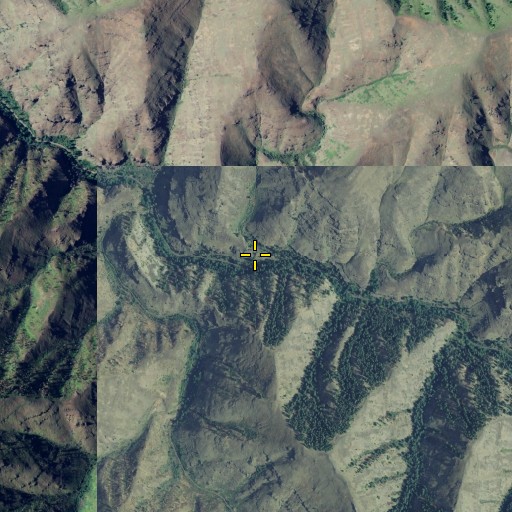 Aerial/Satellite Image of Sheldon Creek, OR