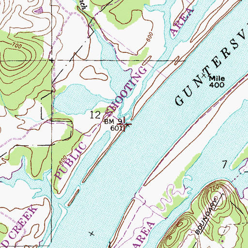 Topographic Map of Brogue Branch, AL