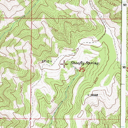 Topographic Map of Shoofly Spring, OR