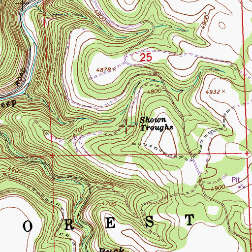 Topographic Map of Shown Troughs, OR