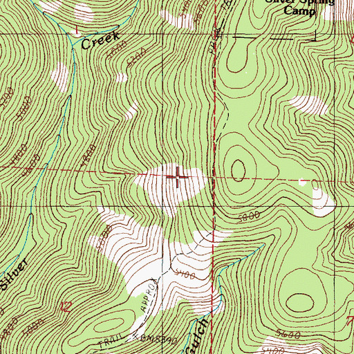 Topographic Map of Silver Butte Trail, OR