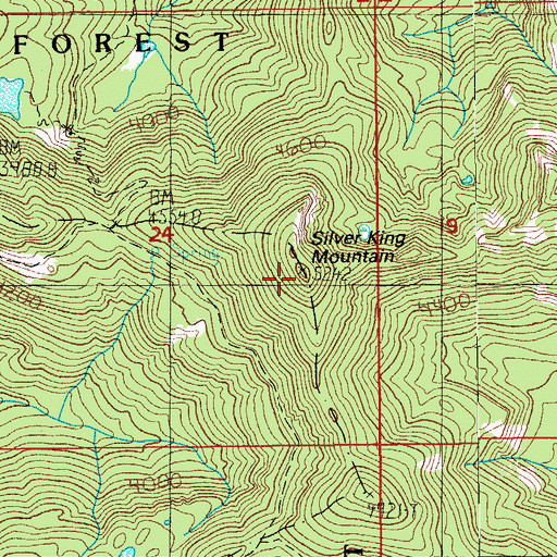 Topographic Map of Silver King Mountain, OR