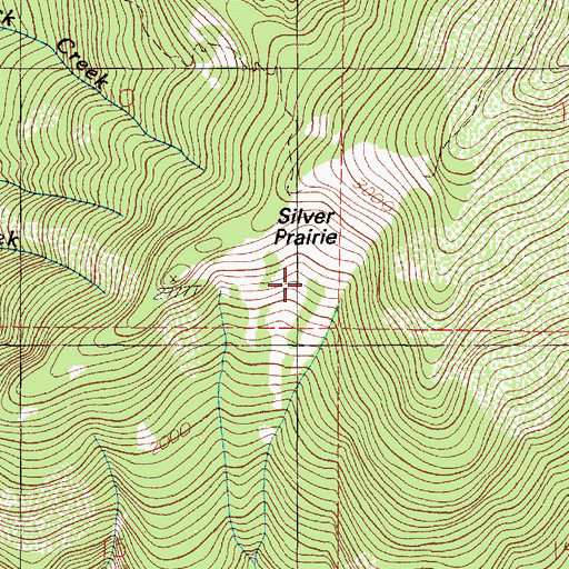 Topographic Map of Silver Prairie, OR
