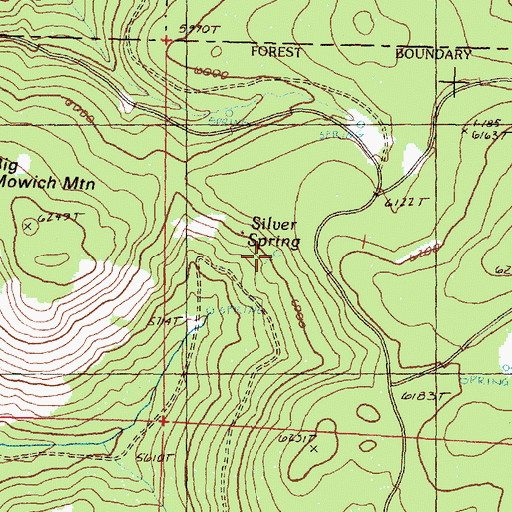 Topographic Map of Silver Spring, OR
