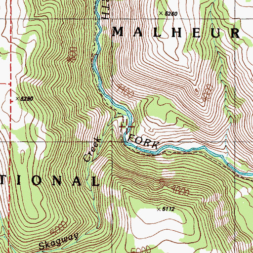 Topographic Map of Skagway Creek, OR