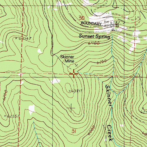 Topographic Map of Skinner Mine, OR