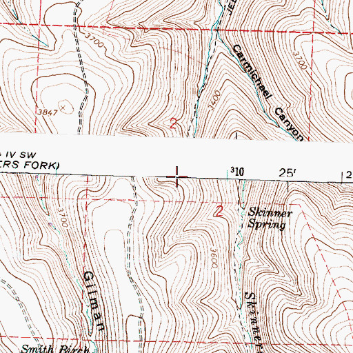 Topographic Map of Skinner Spring, OR