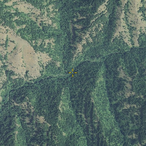 Aerial/Satellite Image of Skiphorton Creek, OR