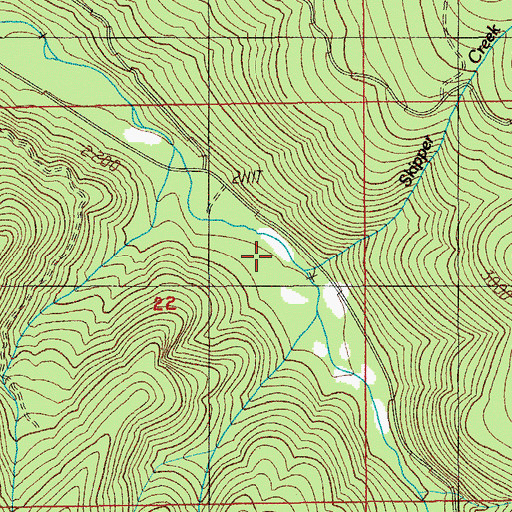 Topographic Map of Skipper Creek, OR