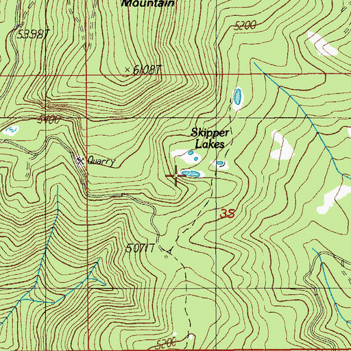 Topographic Map of Skipper Lakes, OR