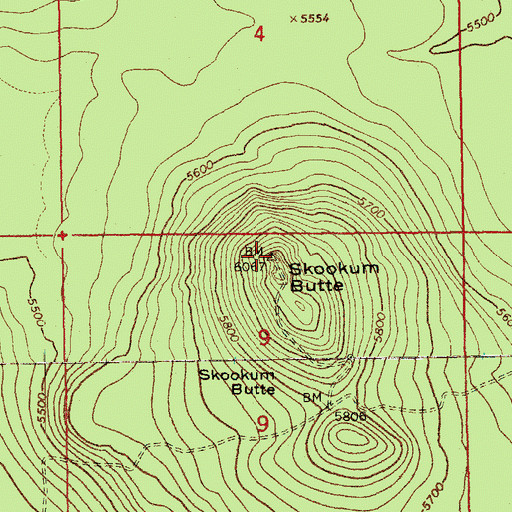Topographic Map of Skookum Butte, OR