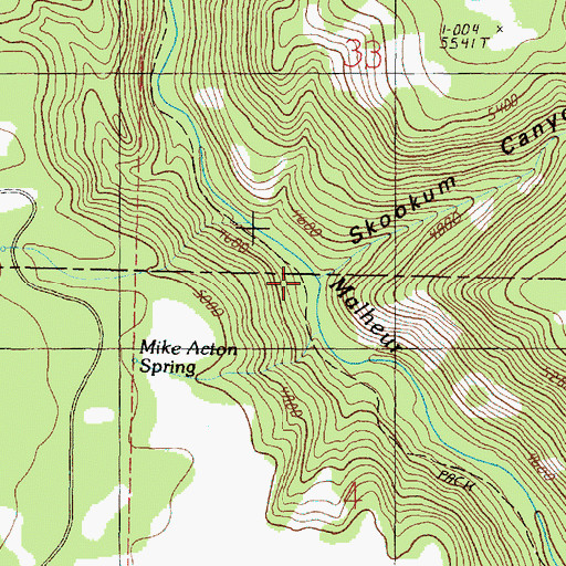 Topographic Map of Skookum Canyon, OR