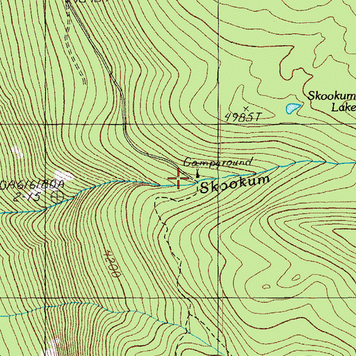 Topographic Map of Skookum Creek Recreation Site, OR