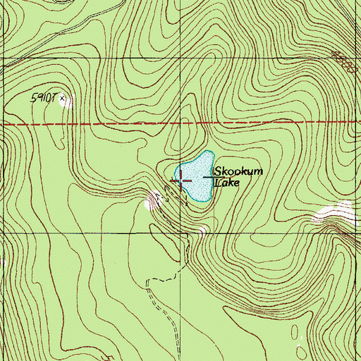 Topographic Map of Skookum Lake, OR