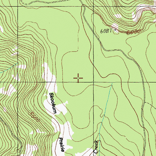 Topographic Map of Skookum Prairie, OR