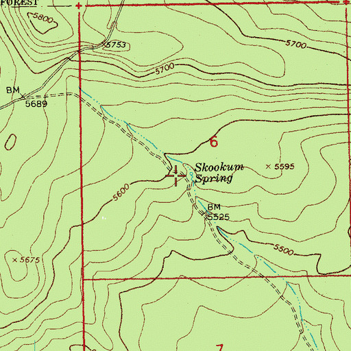 Topographic Map of Skookum Spring, OR